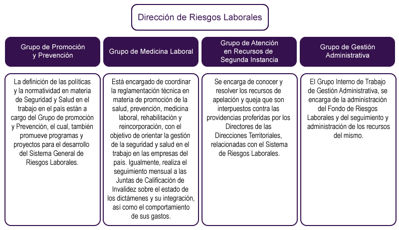 Estructura de los Grupos de la Dirección de Riesgos Laborales